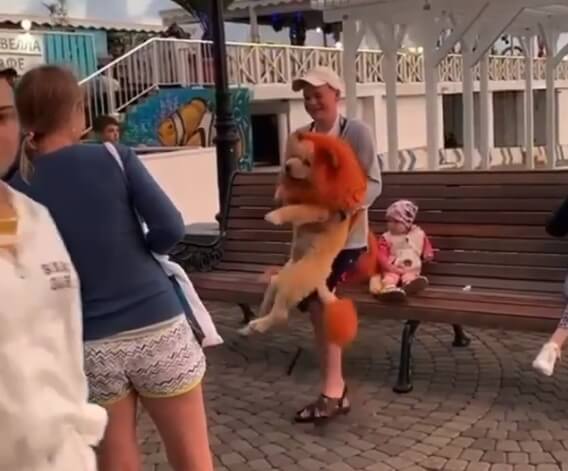 В Сочи фотографы раскрасили собак под львов, чтобы привлечь клиентов