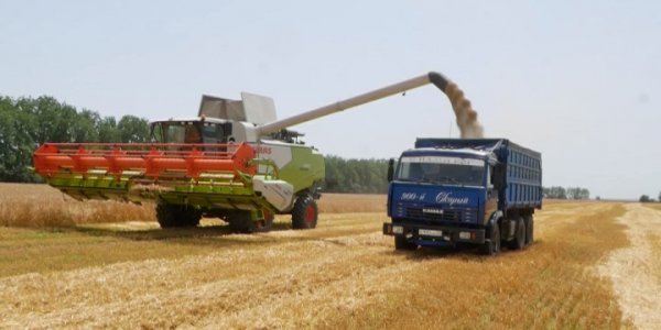 Аграрии Краснодарского края готовятся к уборке урожая зерновых культур