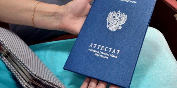 Родители выпускников из Краснодара рассказали, куда планируют поступать их дети