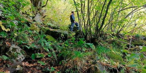 В горах Туапсинского района третий день продолжают искать пропавшего грибника