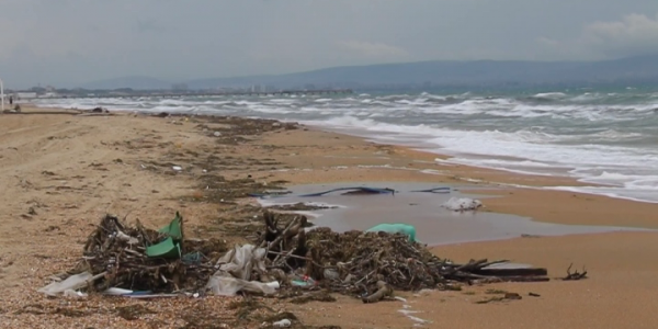 Для очистки пляжей Анапы после шторма задействовали тракторы