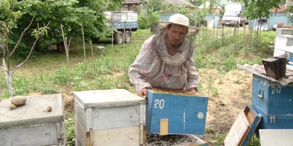 Житель Усть-Лабинского района выбрал жизнь кочевого пасечника