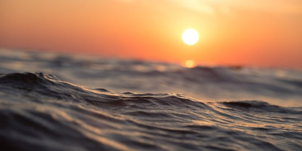 Вода в Черном море прогрелась уже до 20 °C