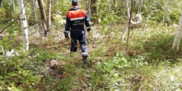 В Туапсинском районе для поисков пропавшего грибника подключили квадрокоптеры