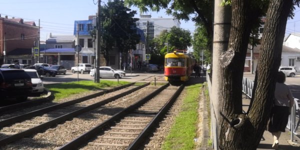 В центре Краснодара из-за обрыва провода на время остановилось движение трамваев