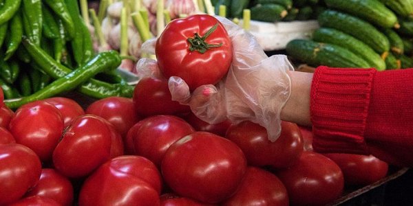 В Сочи стартовал проект по доставке фермерских продуктов с ярмарок