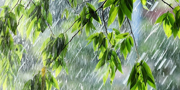 Жителей и гостей Сочи предупредили об усилении ветра, ливнях с грозами и селях
