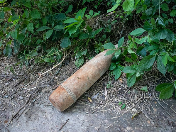 На Кубани в огороде жителя села Молдаванского нашли 37 минометных мин