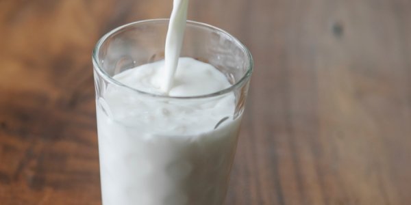Власти Кубани попросили отложить маркировку молока, чтобы сохранить объемы производства