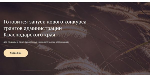 В Краснодарском крае запустили электронную платформу «Гранты губернатора Кубани»