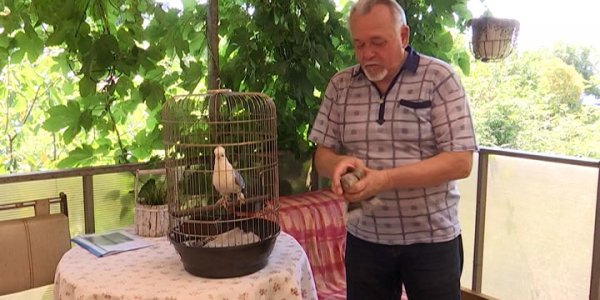 Орнитолог из Сочи Александр Дворецкий получил премию «Человек-Поступок»