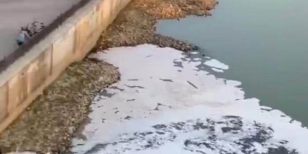 Мэрию Краснодара обвинили в загрязнении реки Кубань, ущерб — 2,6 млн рублей