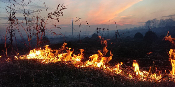 В Краснодарском крае высокая пожароопасность сохранится до 3 июля