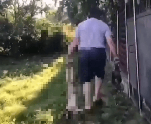 На Кубани местный житель застрелил собаку из-за того, что она загрызла курицу