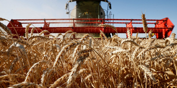 Кондратьев: на Кубани хлеборобы собрали более 1,5 млн тонн зерна