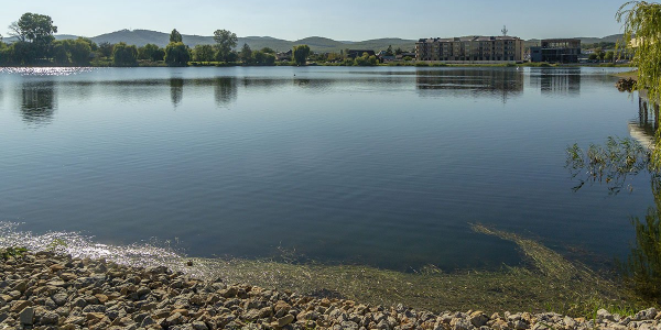 В Горячем Ключе благоустройство территории озера могут завершить поздней осенью - 21 июля, 2021 Все новости, Общество «Кубань 24»