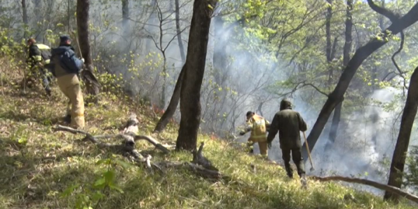 Горы Сочи проверяют на возникновение лесных пожаров при помощи приложения
