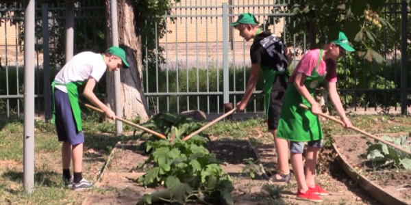 Для учащихся Славянского района открыли летнюю агрошколу
