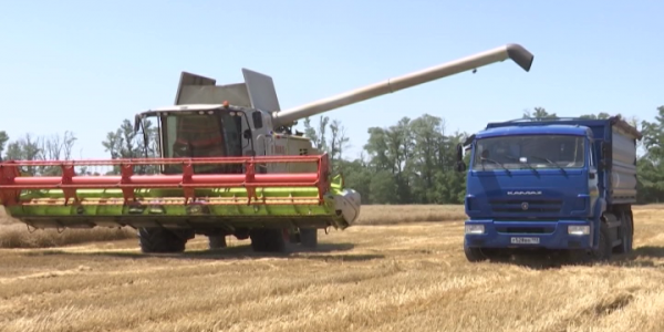 Фермерам из Павловского района удалось вдвое уменьшить затраты на уборку урожая