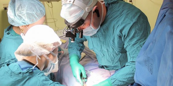 Кубанские хирурги сохранили девушке руку после ДТП, собрав кисть из кости таза