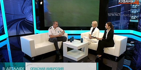 Валерий Немченко: амброзия опасна даже для тех, у кого нет аллергии