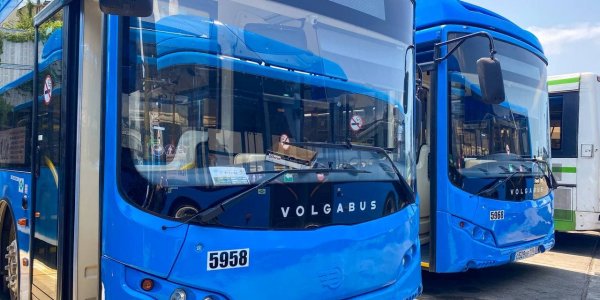 В автопарки Сочи закупили 40 новых автобусов Volgabus