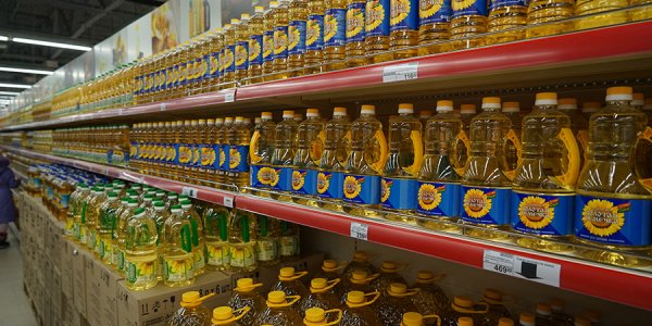 Краснодарский край получит 124,6 млн рублей на поддержку производства масличных культур