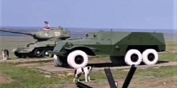 В МВД сообщили подробности инцидента с собаками на «Военной горке» под Темрюком