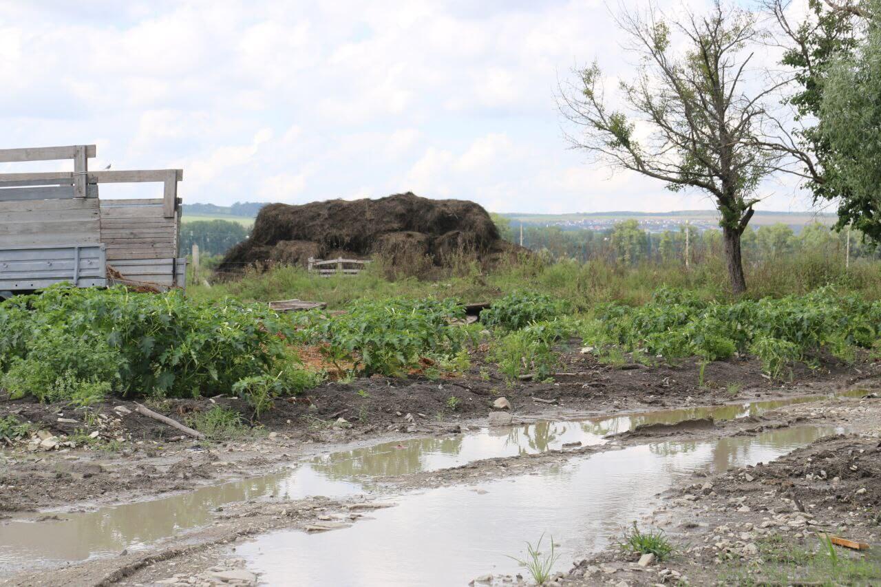 Ущерб аграриев Новороссийска от непогоды оценили в 240 млн рублей