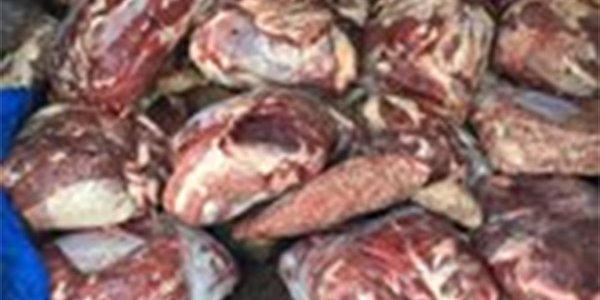 В Сочи у оператора школьного питания изъяли 1,6 т мяса и фарша с бактериями