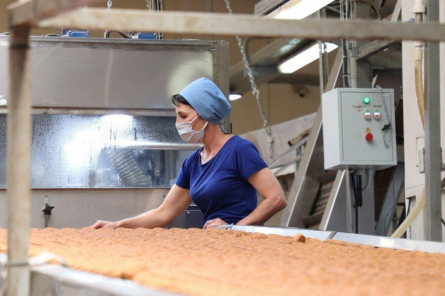 На Кубани кондитерская фабрика на 30% сократила время производства вафель