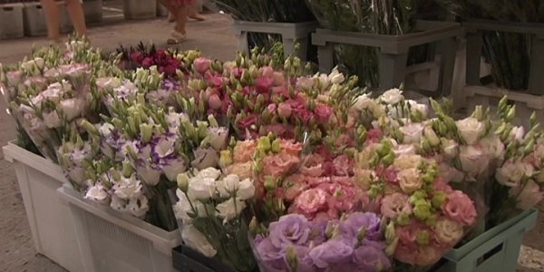 Кубанцы стали реже покупать букеты на цветочных рынках к 1 сентября