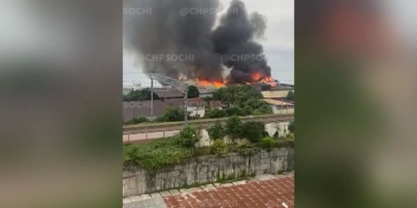 В Сочи произошла серия подозрительных пожаров