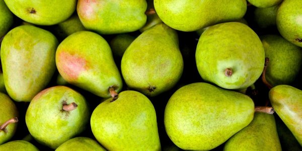 В порту Темрюка задержали около 8 тонн зараженных плодожоркой груш