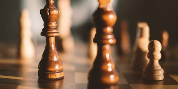Международная шахматная федерация выбрала Сочи для проведения крупных турниров