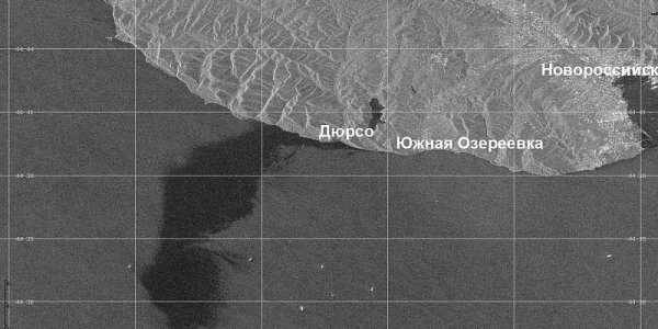 ИКИ РАН: разлив нефти под Новороссийском оказался в сотни тысяч раз обширнее