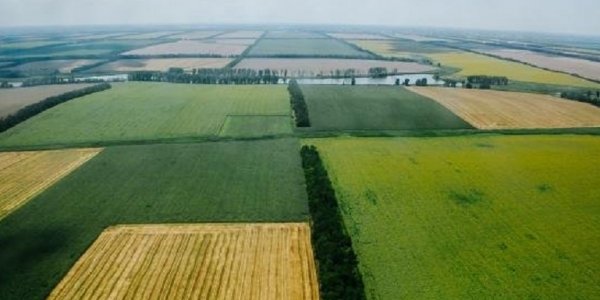 Агрокомплекс Ткачева занял второе место в России по площади сельскохозяйственных земель