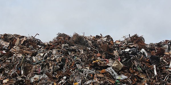 Суд оштрафовал оператора мусорного полигона в Новороссийске за работу без лицензии