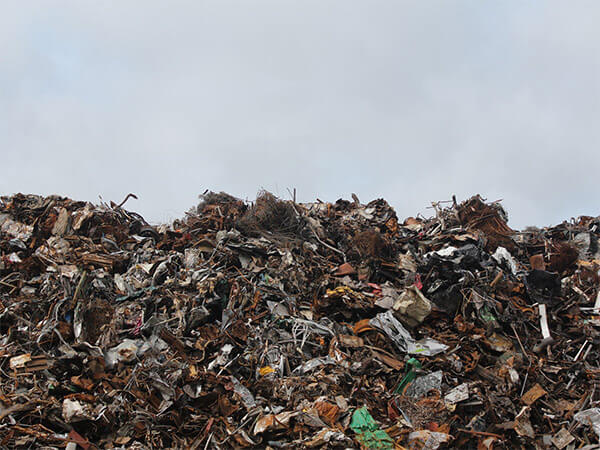 В Краснодарском крае планируют к 2024 году начать полностью перерабатывать основной мусор