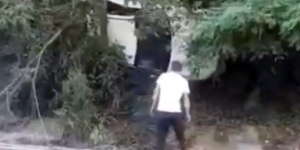 В Туапсинском районе иномарка вылетела с дороги и повисла на дереве