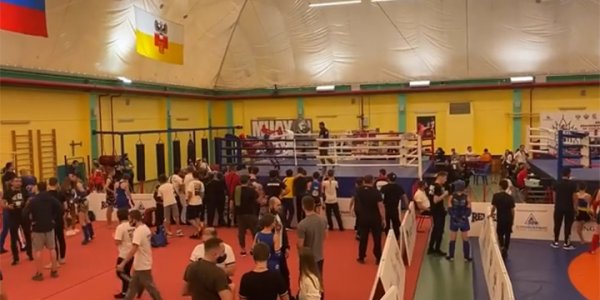 В Краснодаре завершился Кубок Краснодарского края по тайскому боксу