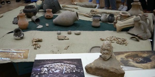 В Армавире открылась выставка доисторических экспонатов VIVA TERRA INCOGNITA