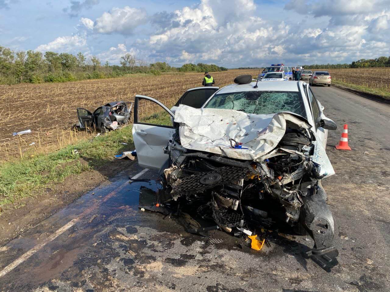 В Краснодарском крае в массовом ДТП на встречке погиб молодой водитель
