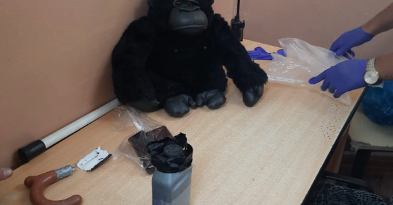 На Кубани полицейские нашли у закладчиков набитую наркотиками игрушку-обезьяну