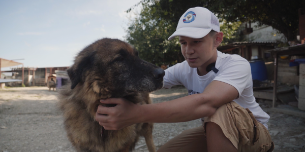 В Новороссийске школьник потратил выигрыш с конкурса на корм для бездомных собак