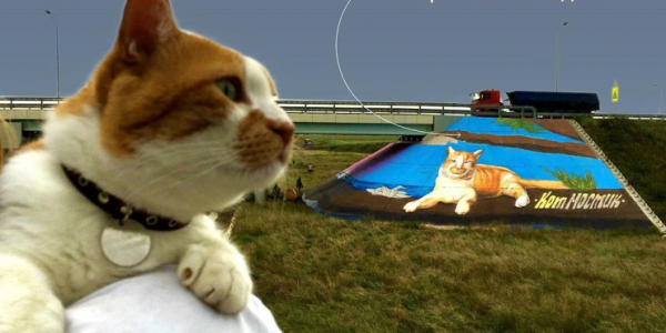 На Крымском мосту появился 10-метровый портрет кота Мостика