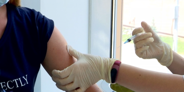 Врачи Кубани советуют сделать прививку от гриппа до наступления эпидсезона