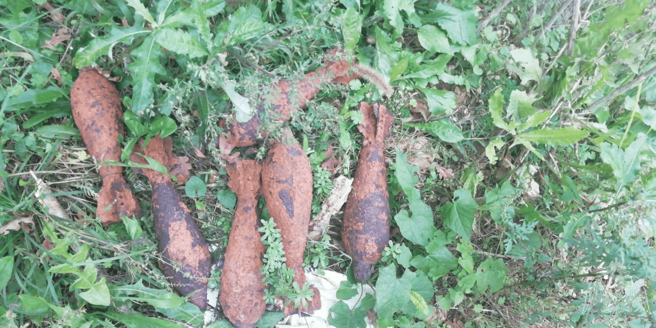 На Кубани станичники во время прогулки в лесу нашли 6 минометных мин времен ВОВ