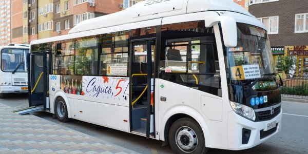 Школьники Краснодара могут бесплатно ездить на 7 автобусных маршрутах за «5»