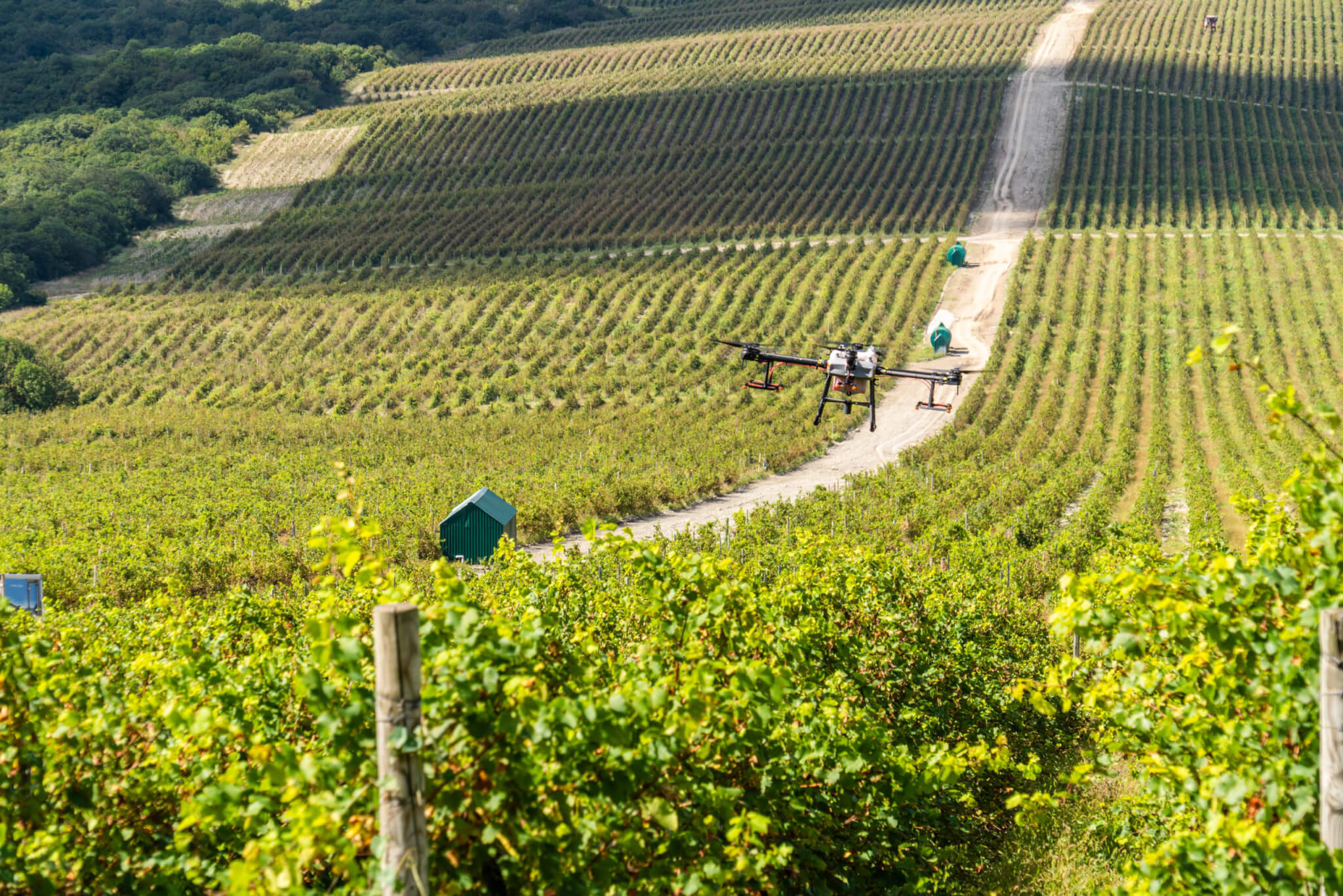 В Абрау-Дюрсо прошли испытания дрона для борьбы с вредителями винограда